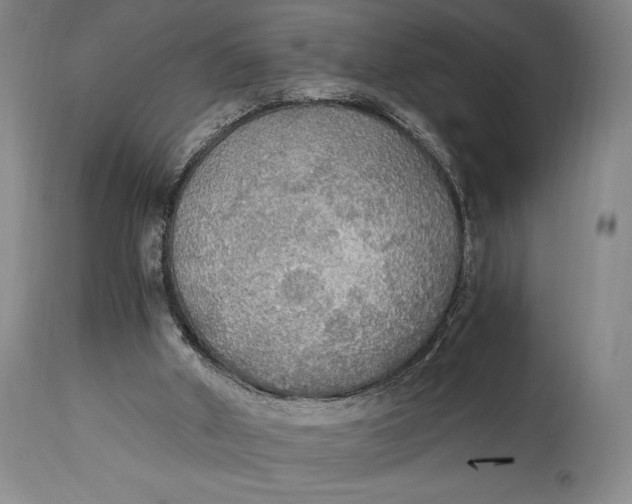 X0000114540010200911091143