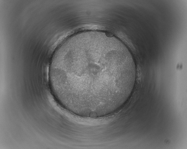 X0000114540014200911091143