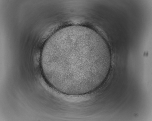 X0000114540018200911091143