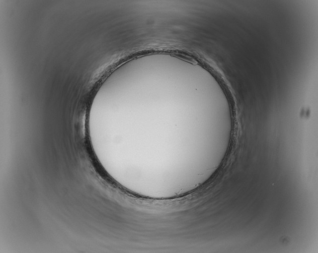 X0000114540019200911091143