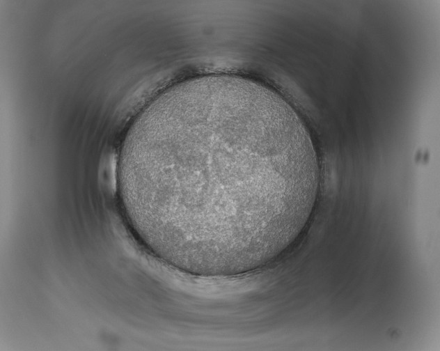 X0000114540022200911091143