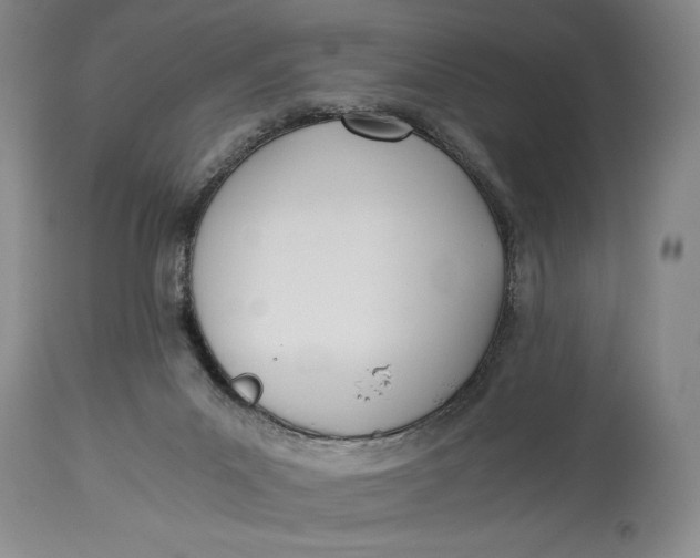 X0000114540023200911091143