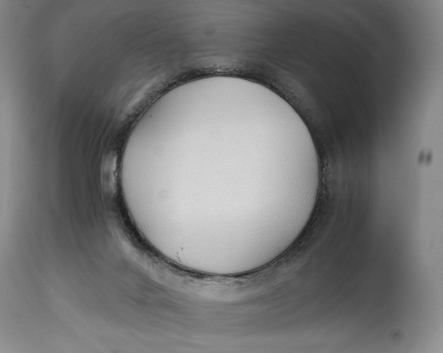 X0000114540024200911091143