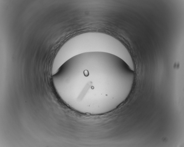 X0000114540029200911091143