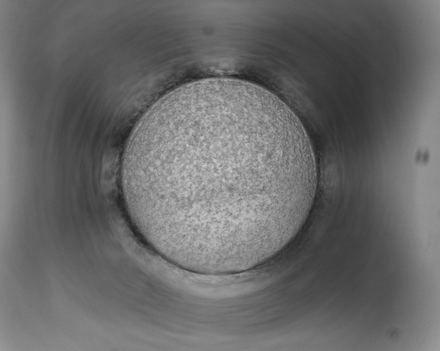 X0000114540030200911091143