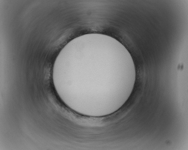 X0000114540032200911091143