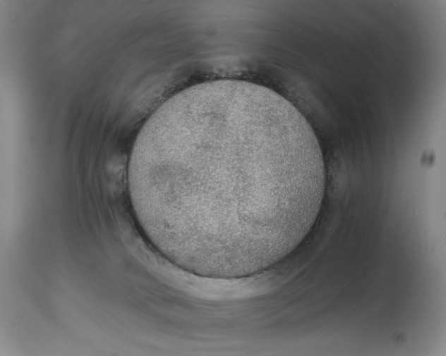 X0000114540034200911091143