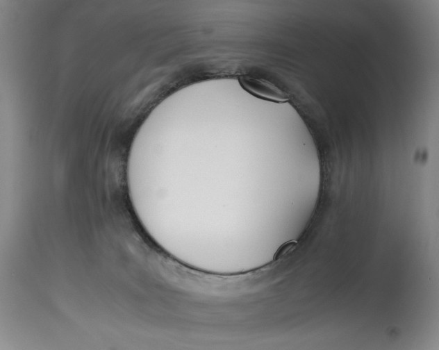 X0000114540035200911091143