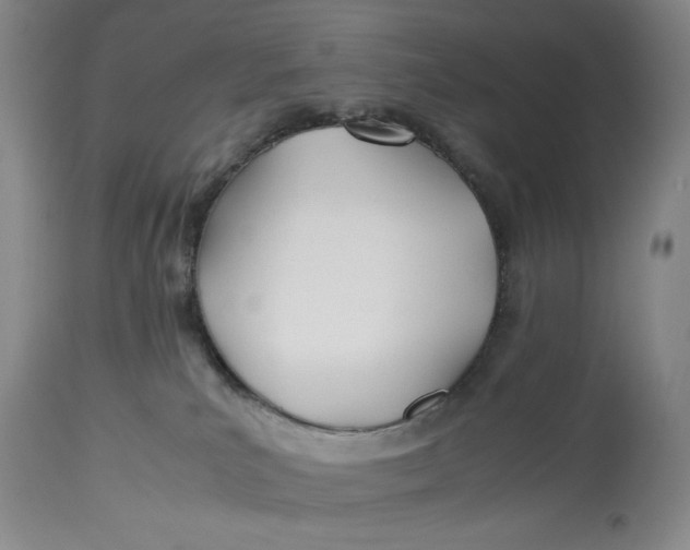 X0000114540039200911091143