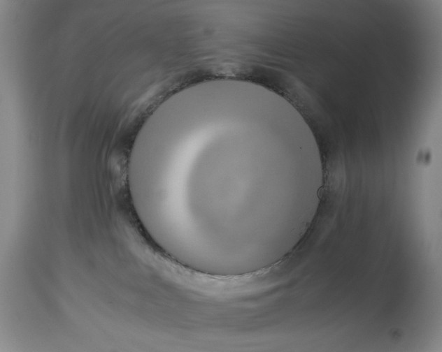 X0000114540043200911091143