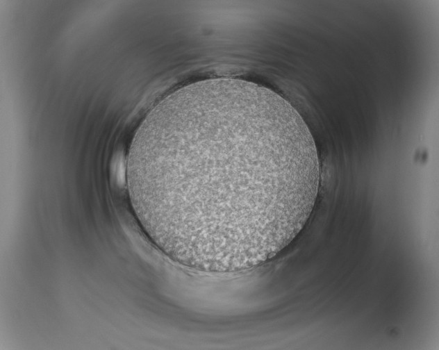 X0000114540046200911091143