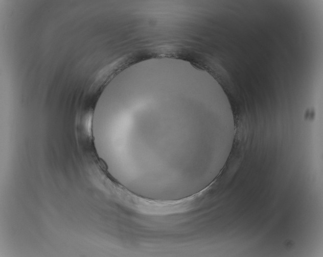 X0000114540047200911091143