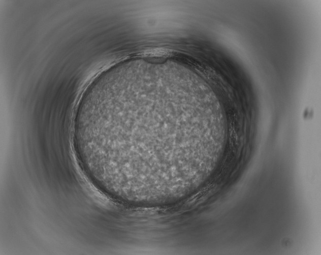 X0000114540049200911091142