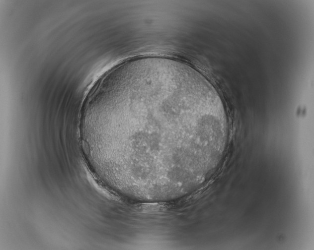 X0000114540050200911091142