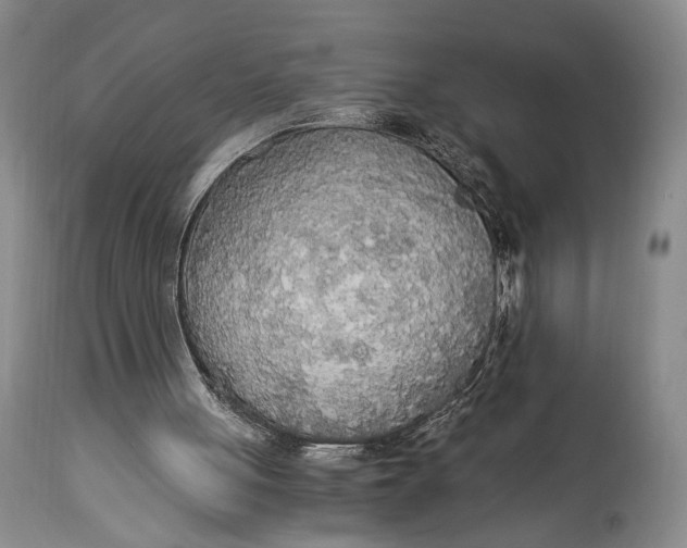 X0000114540051200911091142