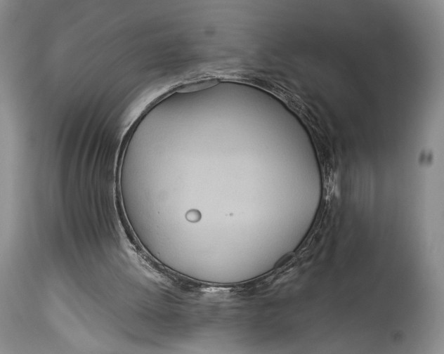 X0000114540052200911091142