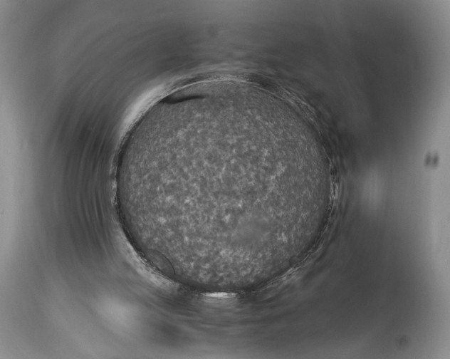 X0000114540053200911091142