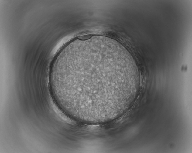 X0000114540054200911091142