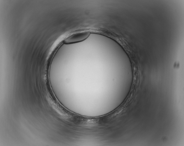 X0000114540056200911091142