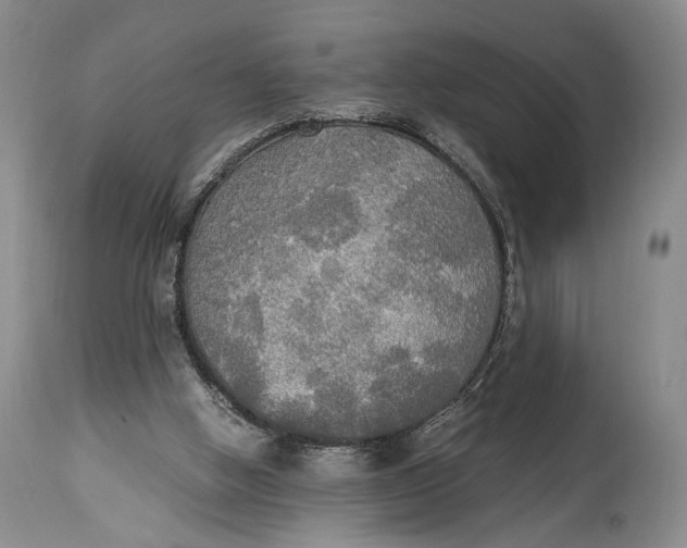 X0000114540058200911091142