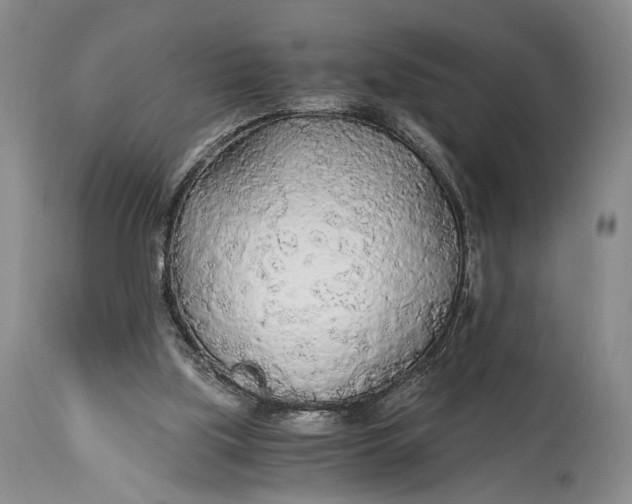 X0000114540059200911091142