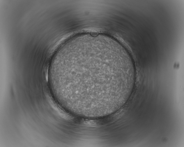 X0000114540062200911091142