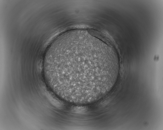 X0000114540063200911091142