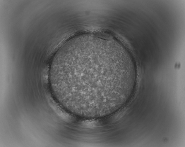 X0000114540065200911091142