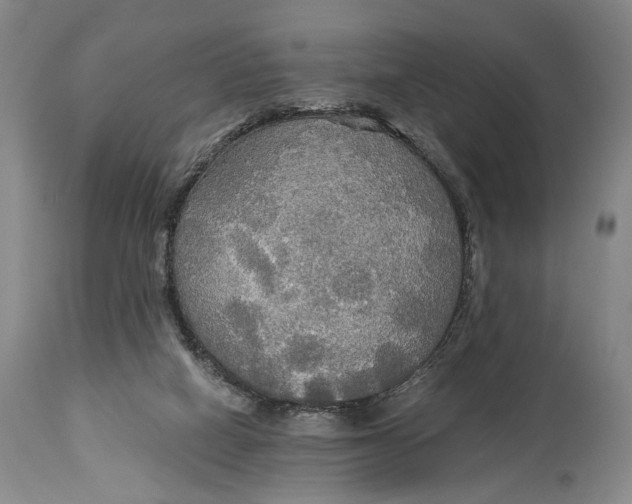 X0000114540066200911091142