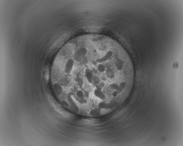 X0000114540069200911091142