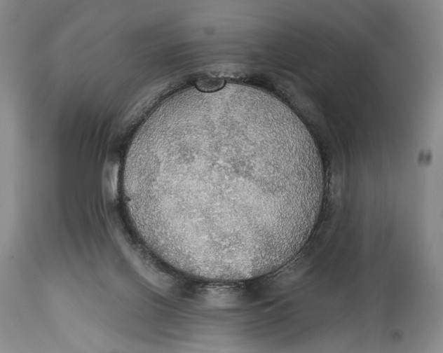 X0000114540070200911091142