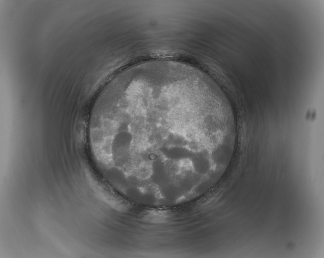 X0000114540071200911091142