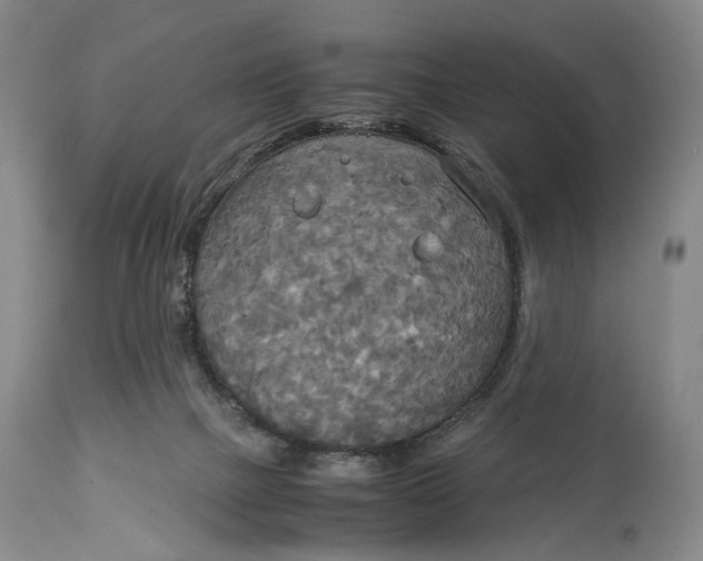 X0000114540073200911091142