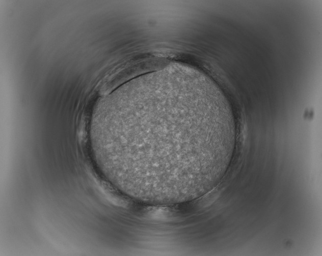 X0000114540074200911091142