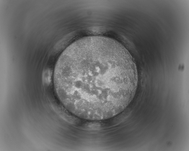 X0000114540075200911091142