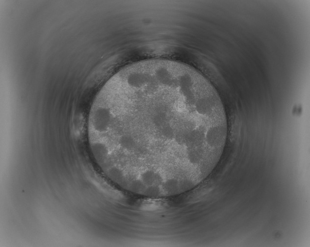 X0000114540077200911091142