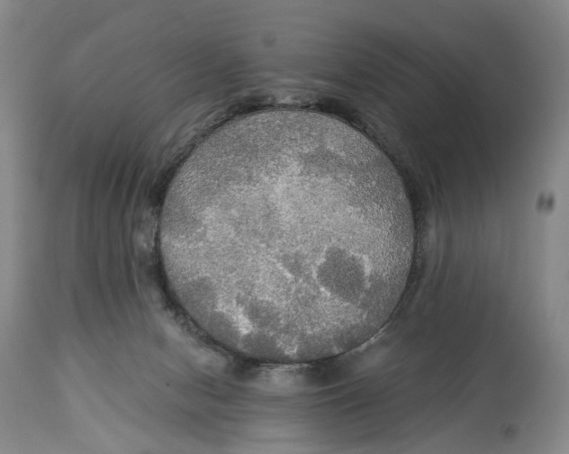 X0000114540078200911091142