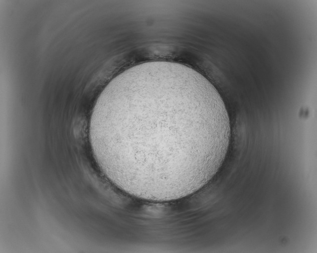 X0000114540079200911091142