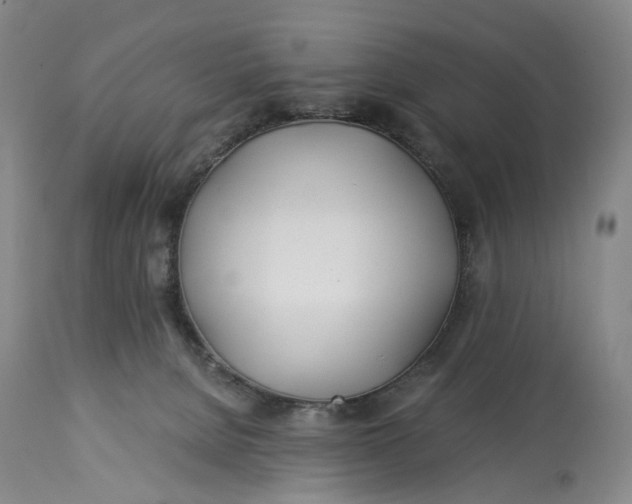 X0000114540080200911091142