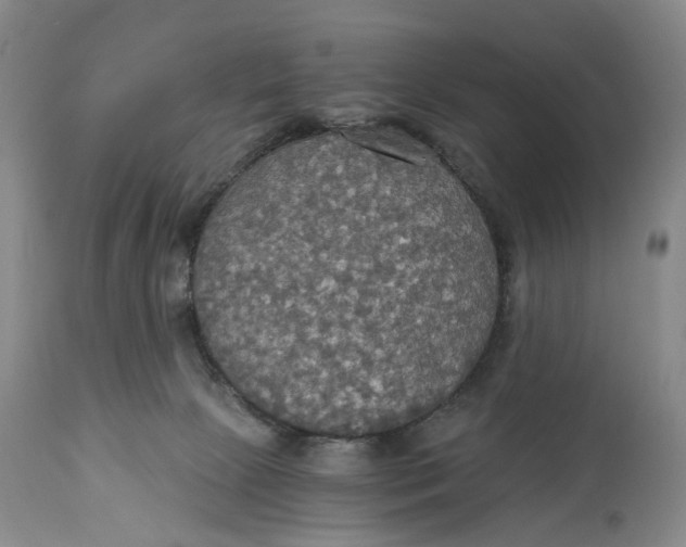 X0000114540081200911091142