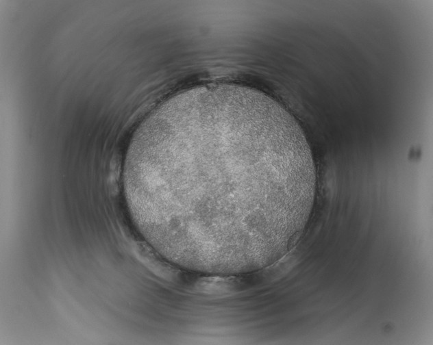 X0000114540082200911091142