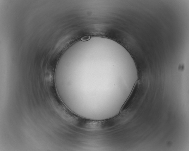 X0000114540084200911091143