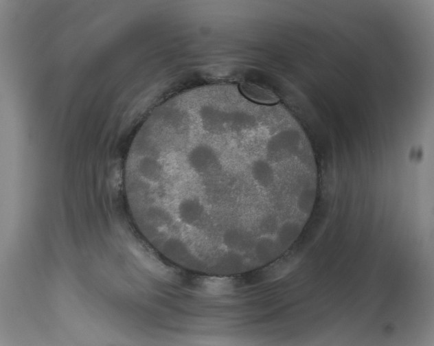 X0000114540085200911091143