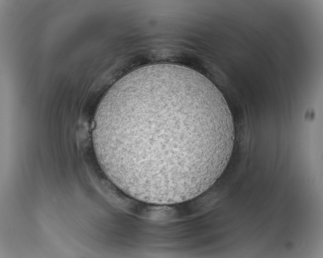 X0000114540087200911091143