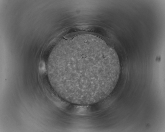 X0000114540089200911091143