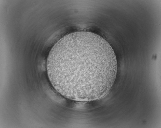 X0000114540090200911091143