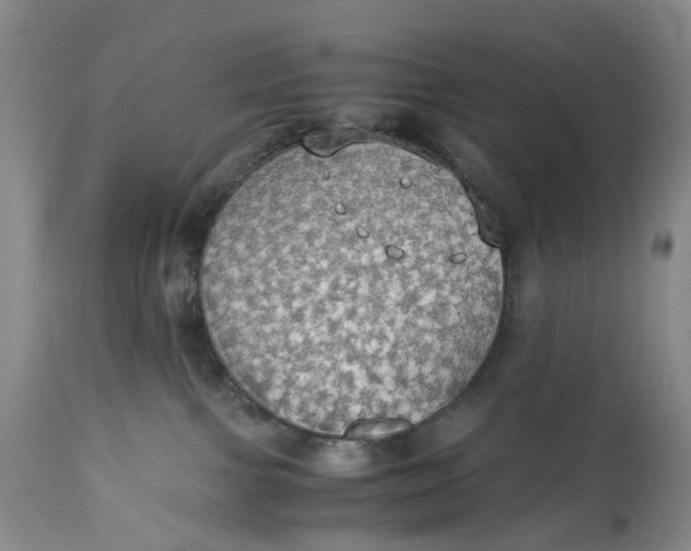 X0000114540091200911091143