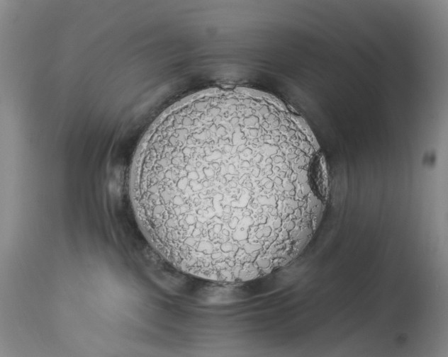 X0000114540093200911091143