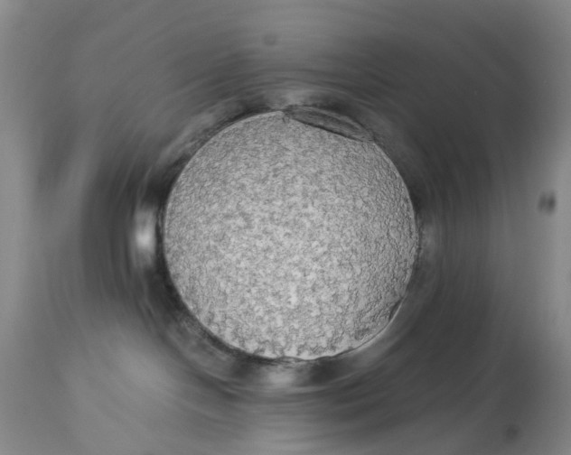 X0000114540094200911091143