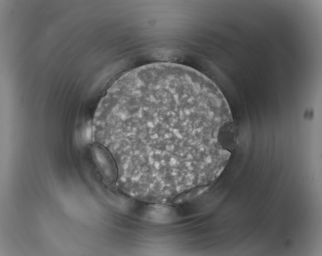 X0000114540095200911091143